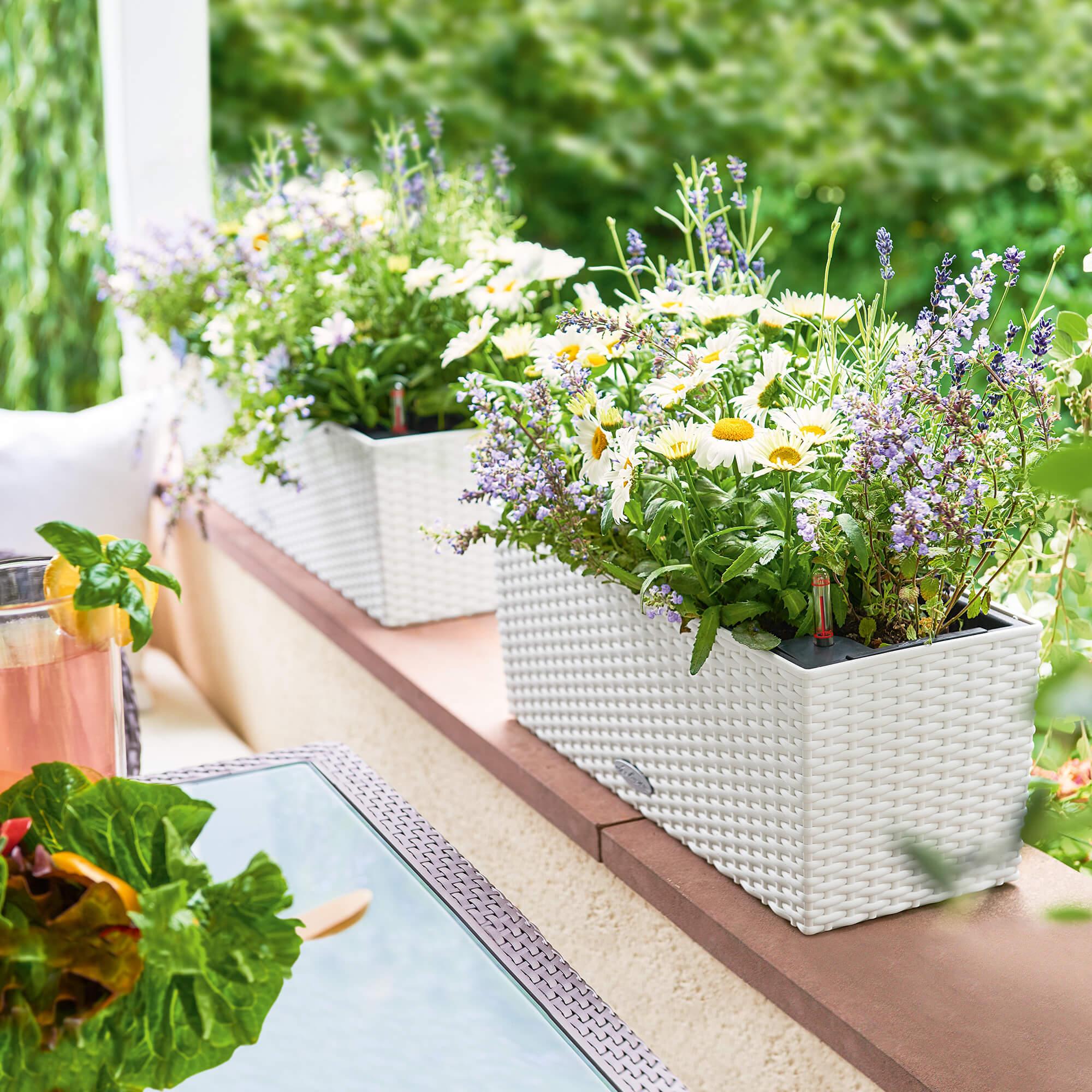 le_balconera-cottage50_product_addi_04